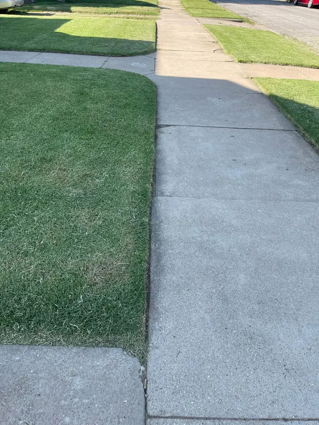 Spring Green — customer photo 6