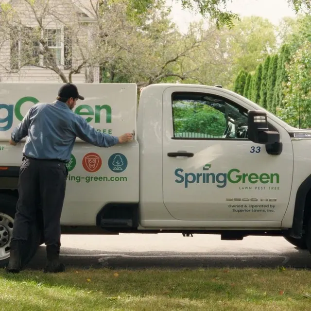 Spring Green — photo from the business 11