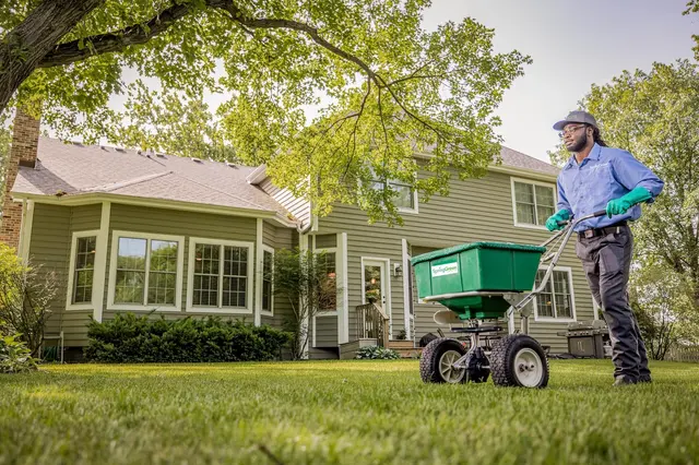 Spring Green — photo from the business 10