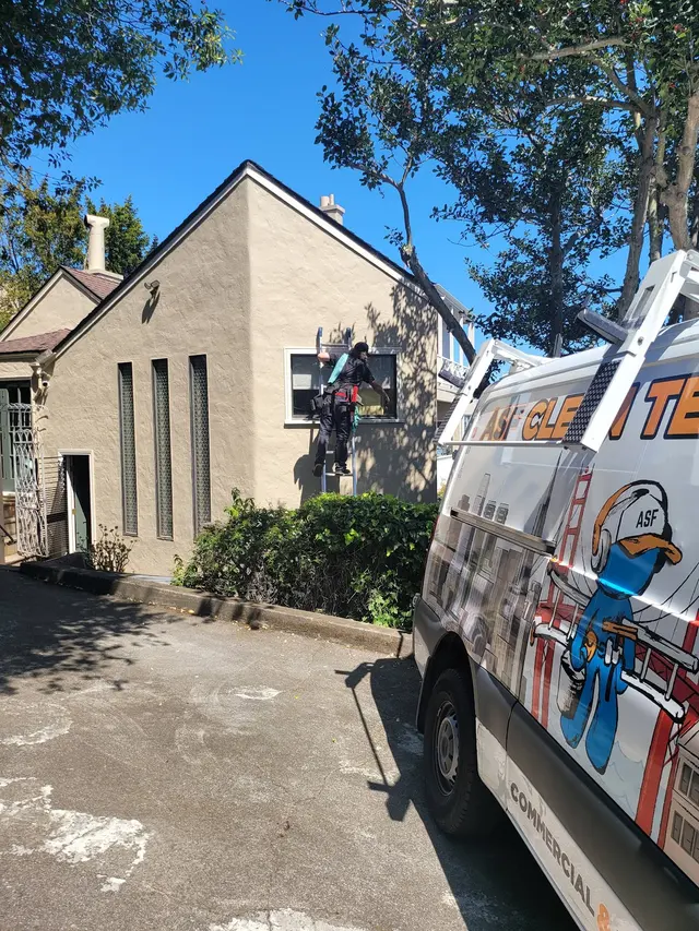 ASF Clean Team — photo from the business 7