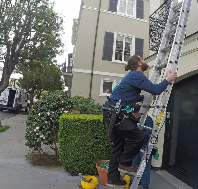 ASF Clean Team — photo from the business 11