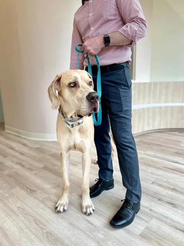 Petfolk Veterinary & Urgent Care - North Hills — photo from the business 8