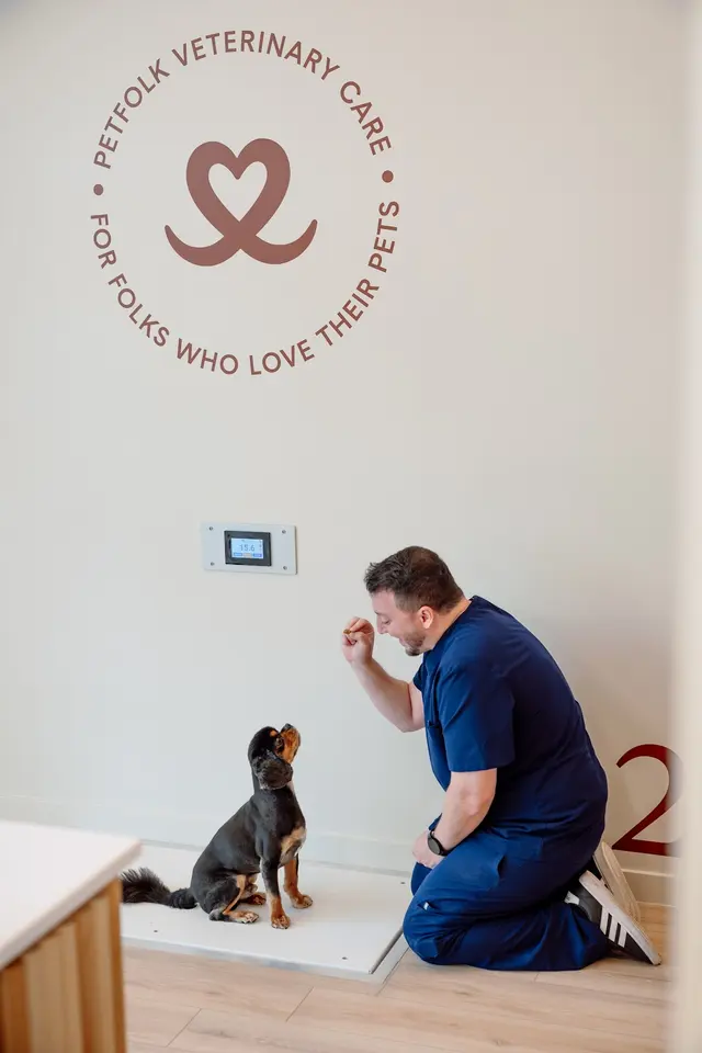Petfolk Veterinary & Urgent Care - North Hills — photo from the business 10