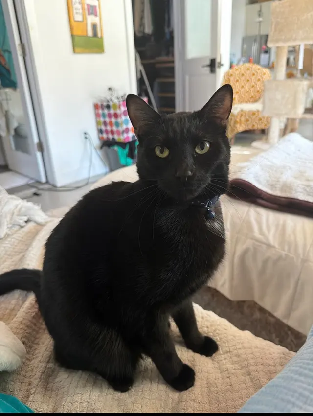 Quail Corners Animal Hospital — customer photo 12