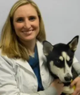 Quail Corners Animal Hospital — photo from the business 9