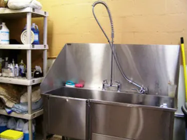 Quail Corners Animal Hospital — photo from the business 7