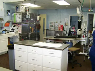 Quail Corners Animal Hospital — photo from the business 5
