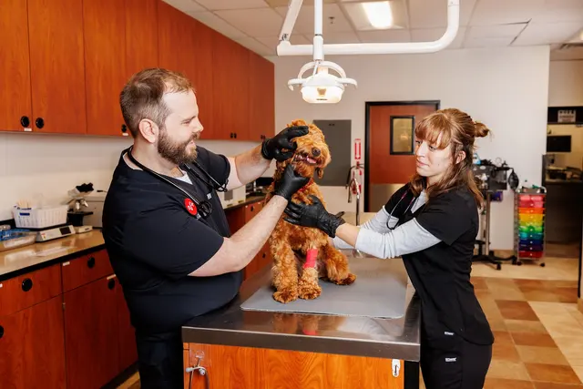 PetSmart Veterinary Services - Raleigh — photo from the business 1