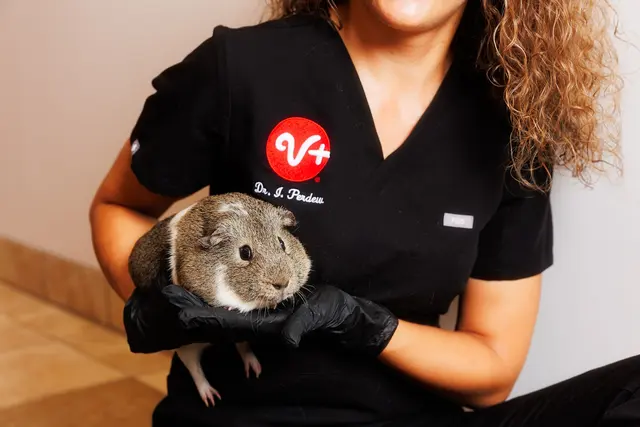 PetSmart Veterinary Services - Raleigh — photo from the business 5
