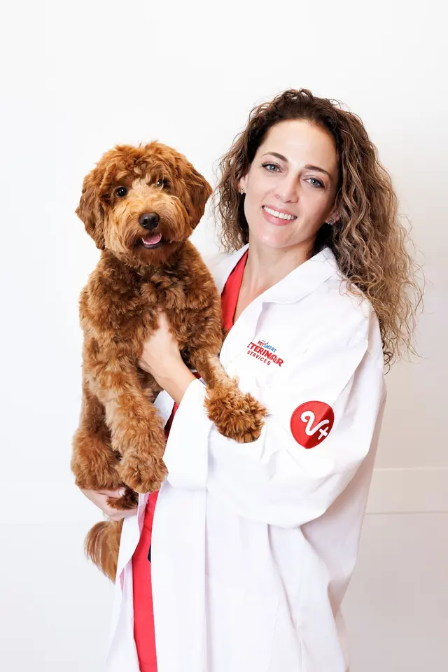 PetSmart Veterinary Services - Raleigh — photo from the business 8
