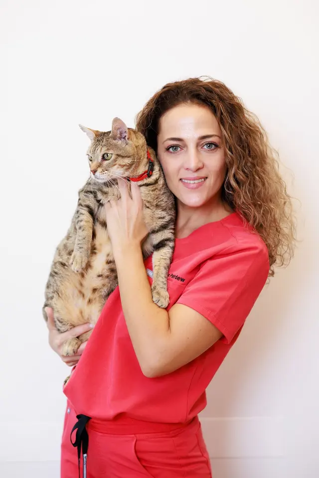 PetSmart Veterinary Services - Raleigh — photo from the business 6
