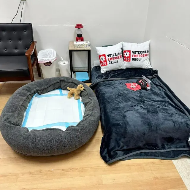 VEG ER for Pets — photo from the business 9