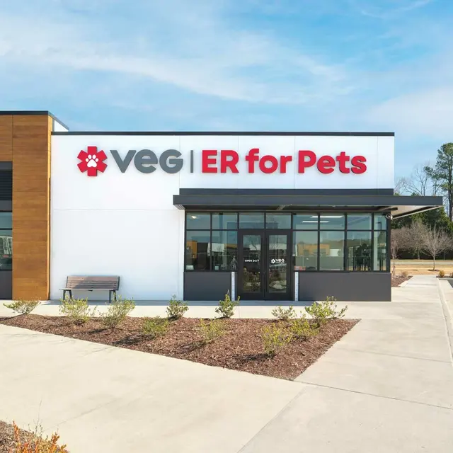 VEG ER for Pets — photo from the business 12
