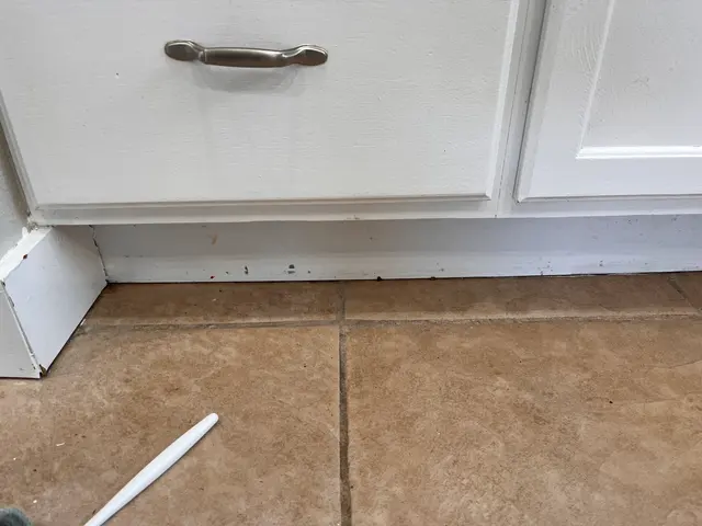 BA House Cleaning — customer photo 5