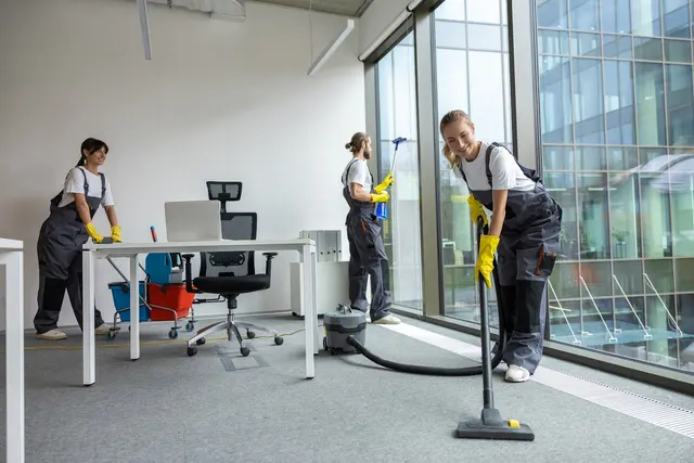 BA House Cleaning — photo from the business 3