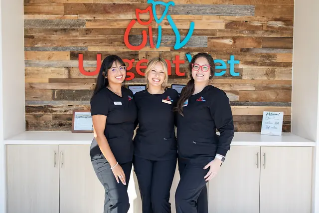 UrgentVet — photo from the business 7