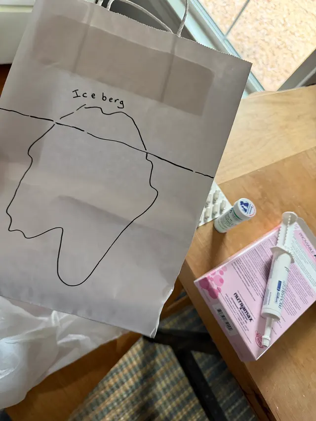 Customer photo of work by Care First Animal Hospital at Glenwood, from Eva Moore's review