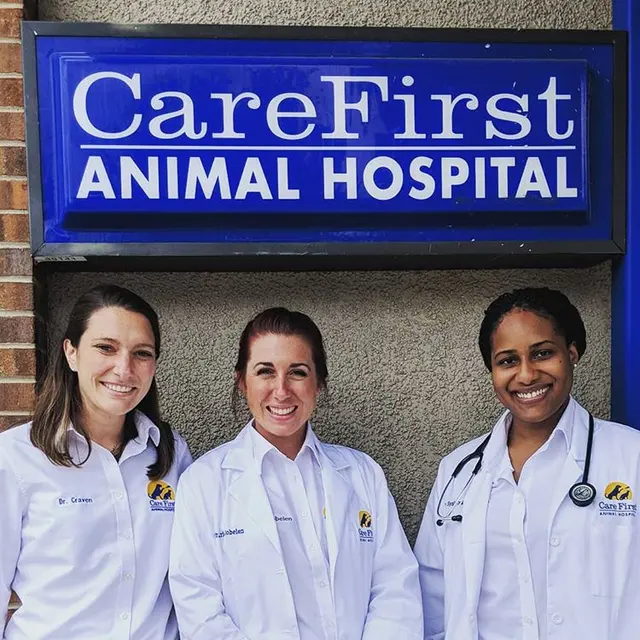 Care First Animal Hospital at Glenwood — photo from the business 9