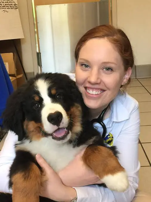 Care First Animal Hospital at Glenwood — photo from the business 3