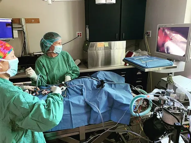 Care First Animal Hospital at Glenwood — photo from the business 8