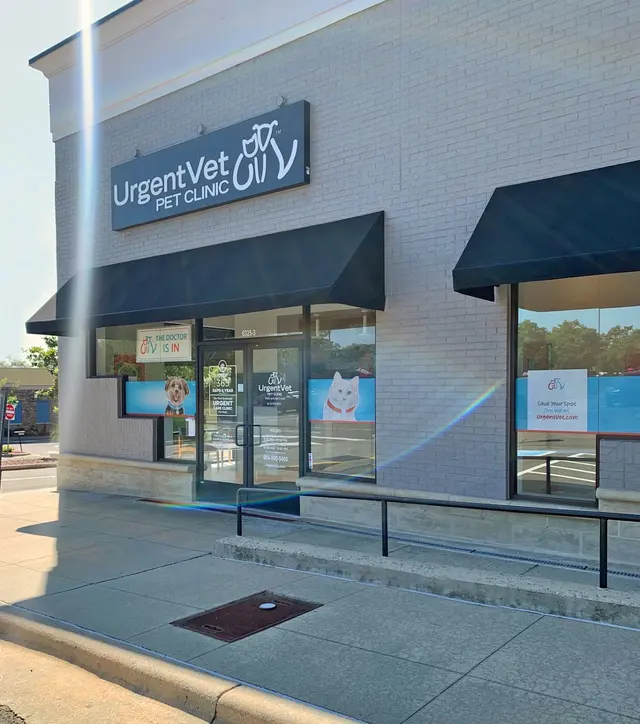 UrgentVet — photo from the business 11