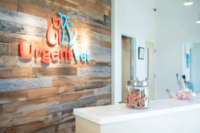 UrgentVet — photo from the business 3