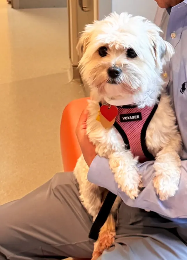 NCSU Veterinary Hospital — customer photo 2