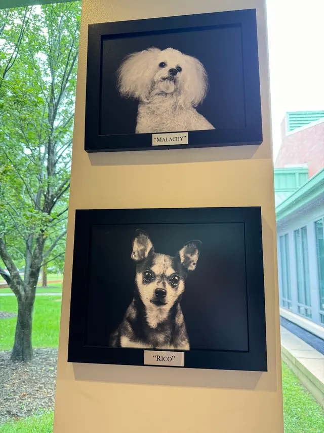 NCSU Veterinary Hospital — customer photo 4