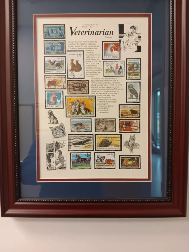 NCSU Veterinary Hospital — customer photo 11