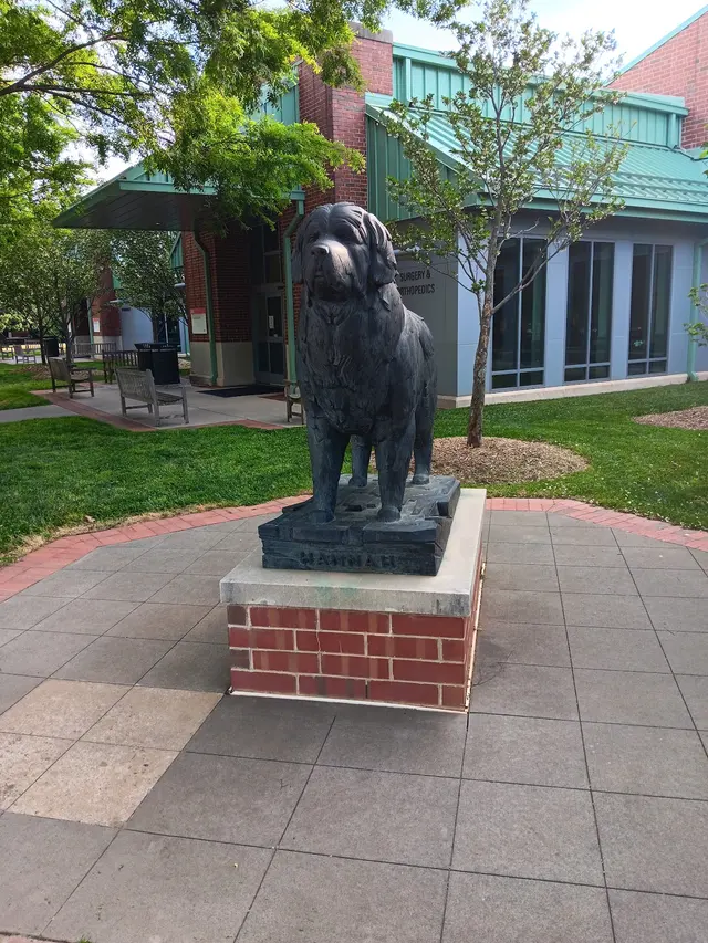 NCSU Veterinary Hospital — customer photo 9