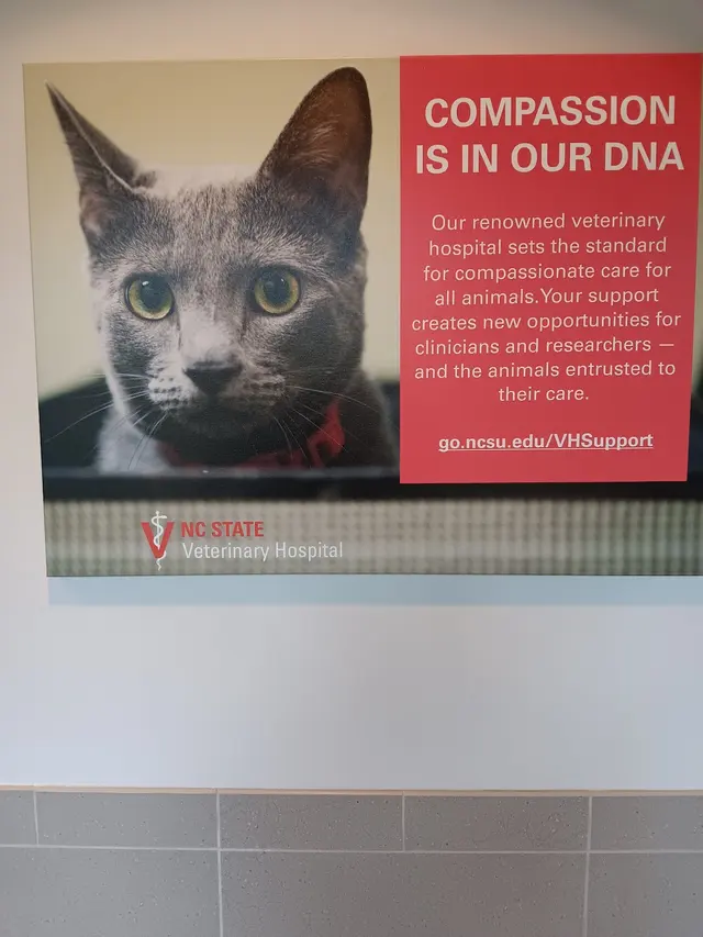 NCSU Veterinary Hospital — customer photo 8