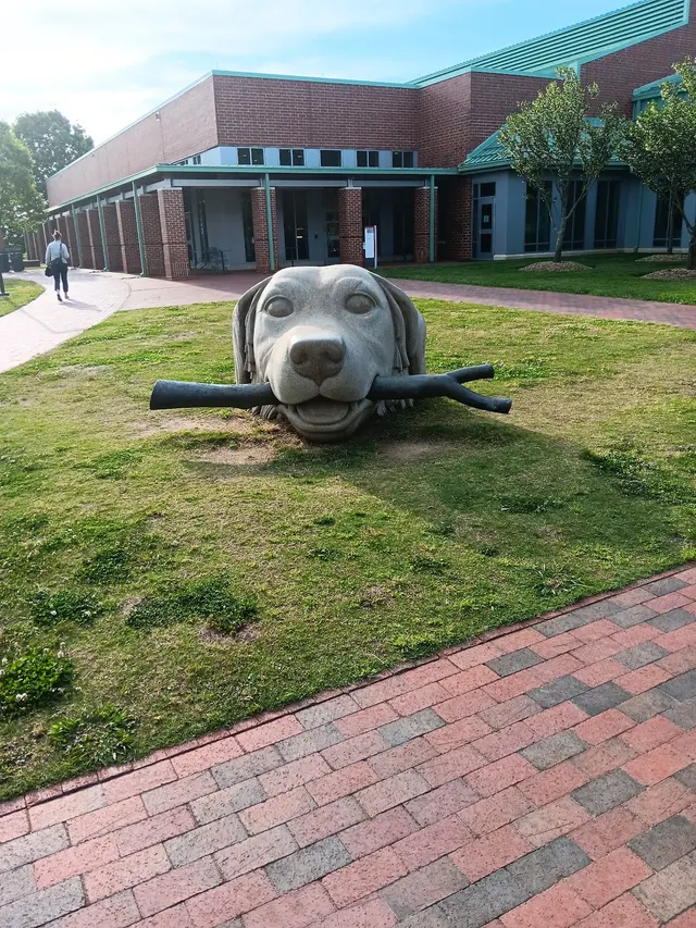 NCSU Veterinary Hospital — customer photo 1