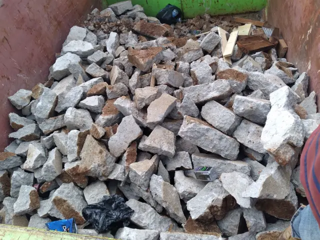Bin There Dump That Winston-Salem — photo from the business 7