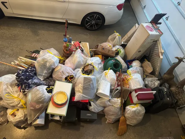 American Junk Removal — customer photo 1