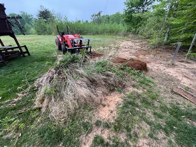 Davie Junk Removal — customer photo 8