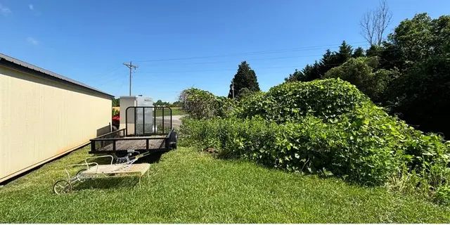 Davie Junk Removal — photo from the business 4