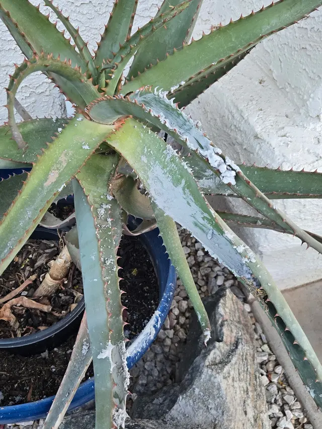 Customer photo from Nathan's review