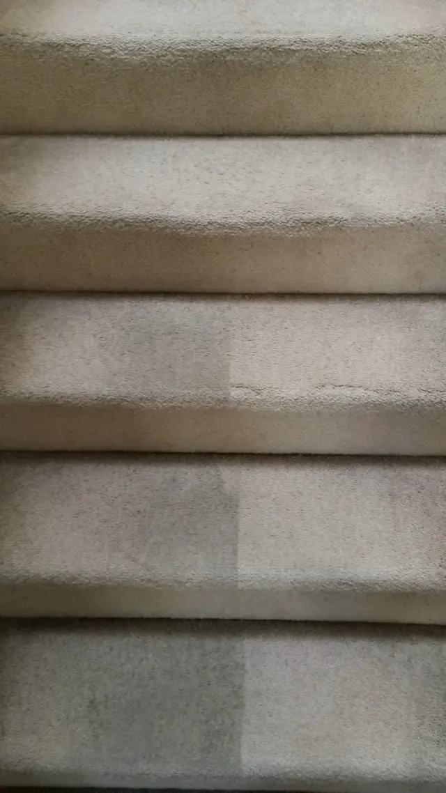 Celestials Cleaning — customer photo 11