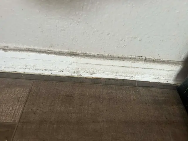 Customer photo from Michael's review