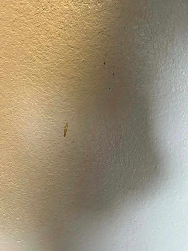 Customer photo from Michael's review