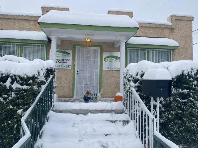 green sweep — photo from the business 8