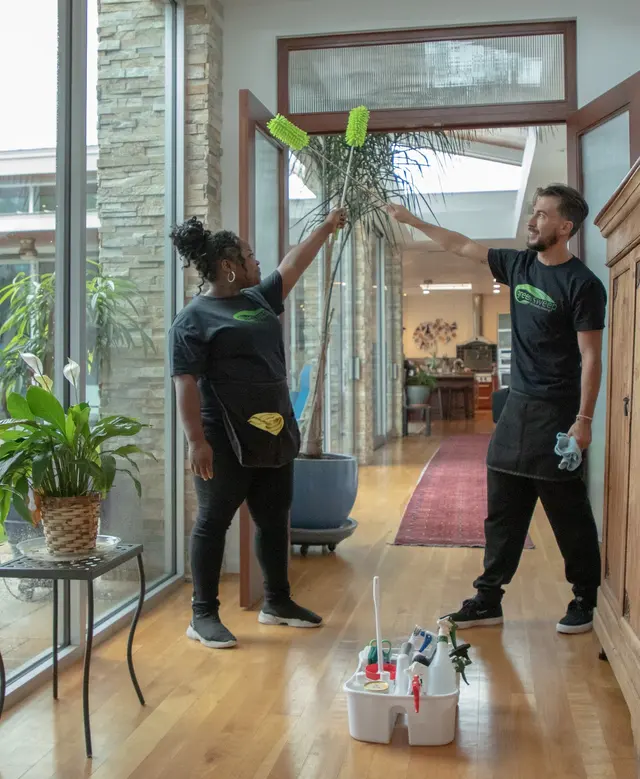 green sweep — photo from the business 4