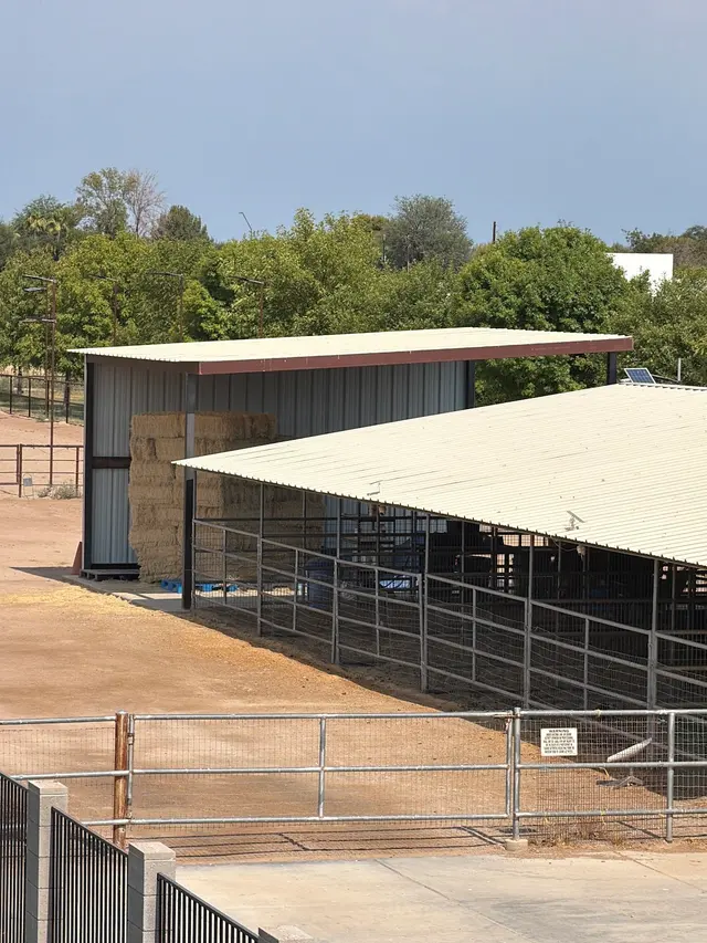 Customer photo of work by Solid State Construction AZ, from Steve Dickson's review