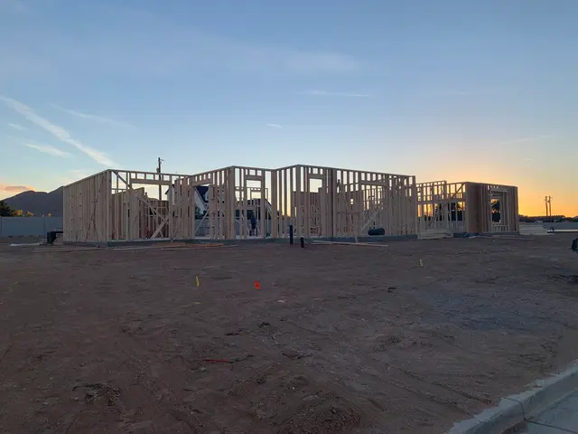 VIP Homes — customer photo 6