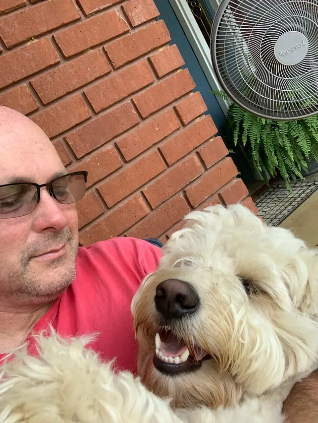 Heartland Goldens and Goldendoodles — customer photo 3