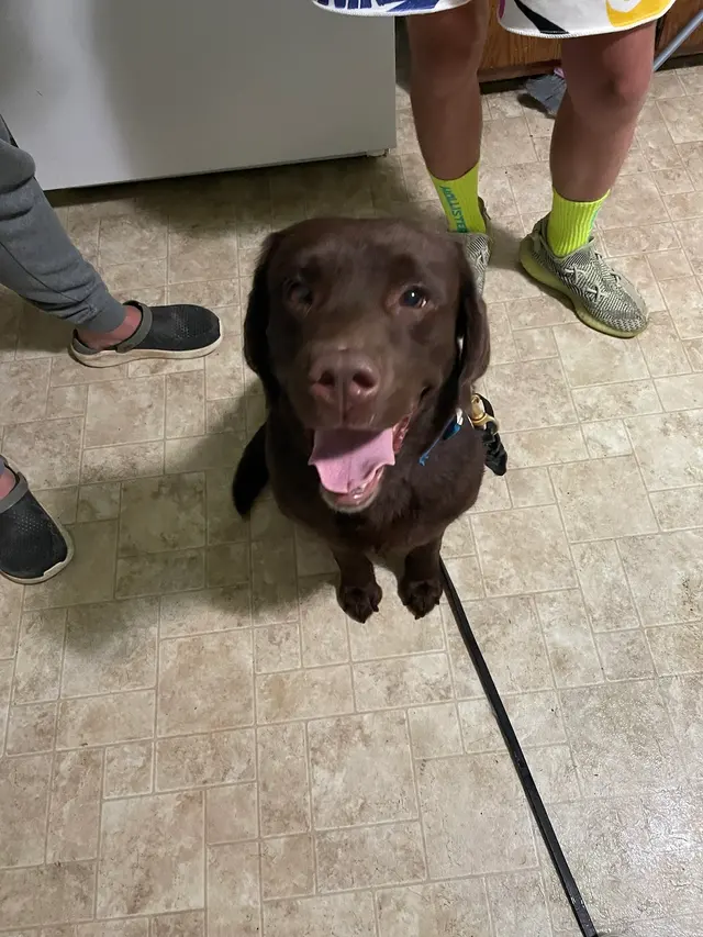 Sam I Am Boarding, Grooming, & Training — photo from the business 8