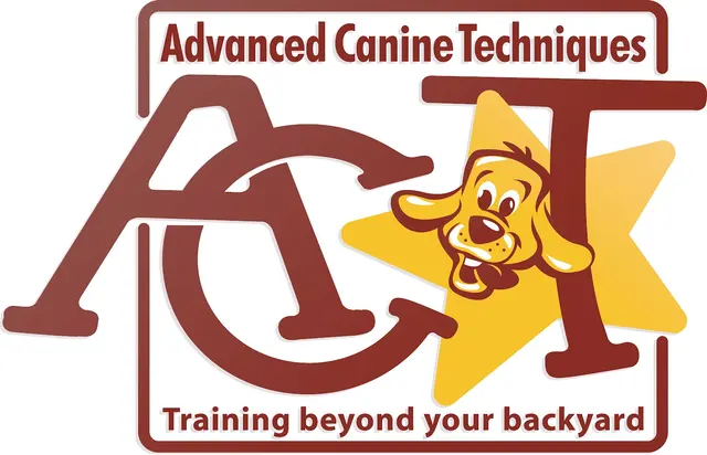 Advanced Canine Techniques — photo from the business 6