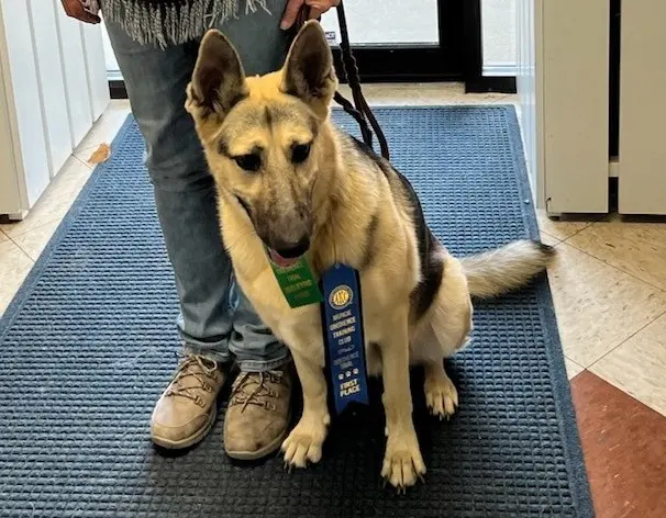 Muncie Obedience Training Club — customer photo 1