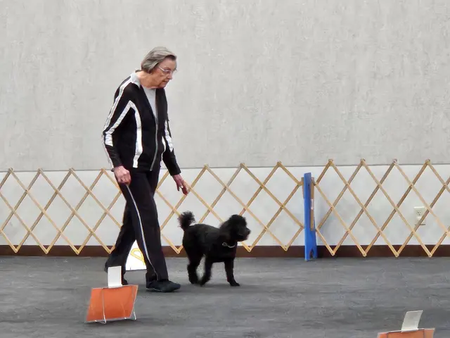 Muncie Obedience Training Club — customer photo 7