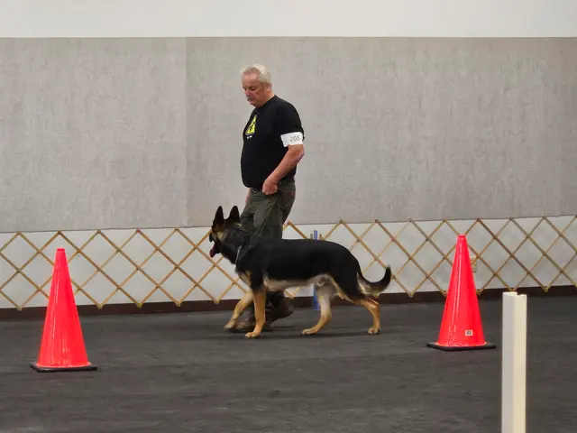 Muncie Obedience Training Club — customer photo 6